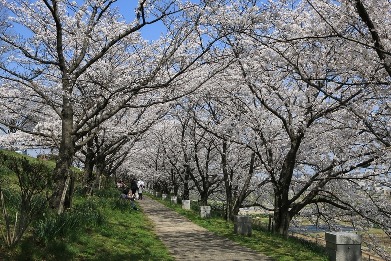 f:id:kyotoside:20220202160806j:plain