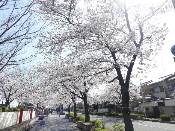 f:id:kyotoside:20220202162055j:plain