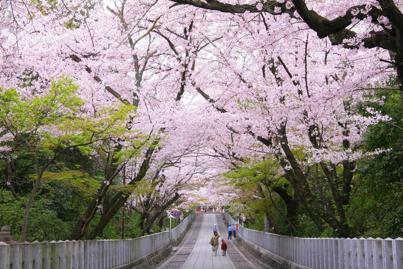 f:id:kyotoside:20220202162219j:plain