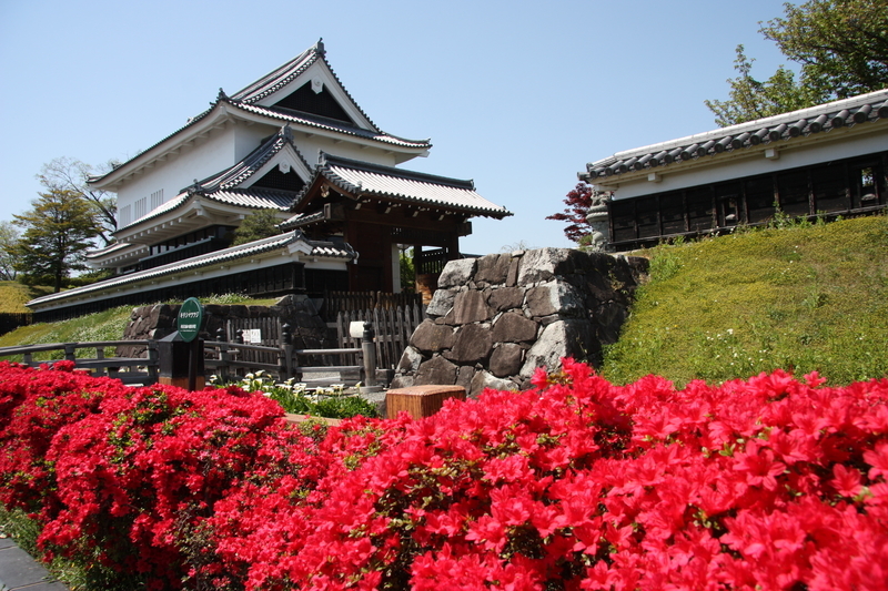 f:id:kyotoside:20220202165747j:plain