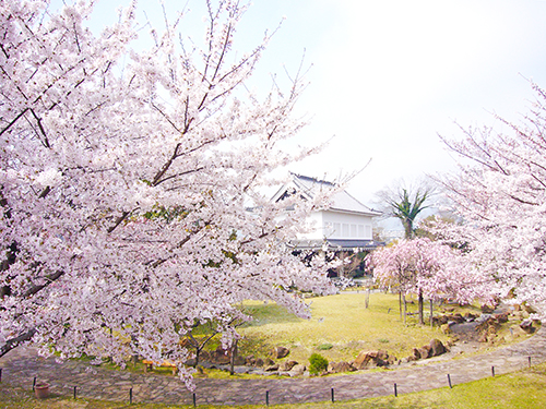f:id:kyotoside:20220202170027j:plain