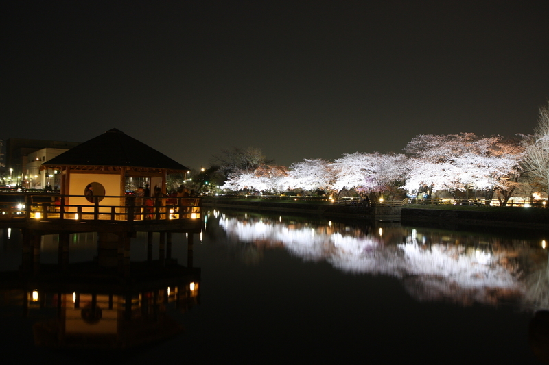 f:id:kyotoside:20220202170843j:plain