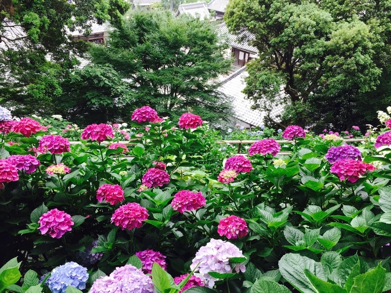 f:id:kyotoside:20220203103532j:plain