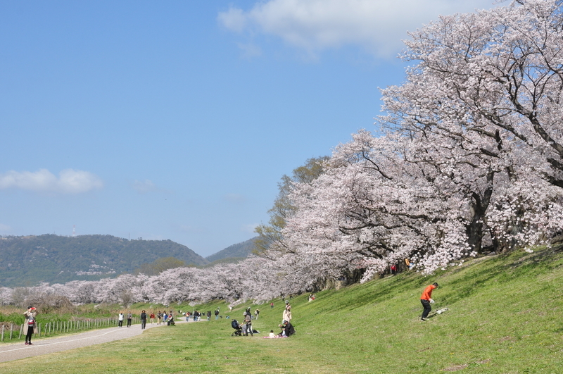f:id:kyotoside:20220203124552j:plain