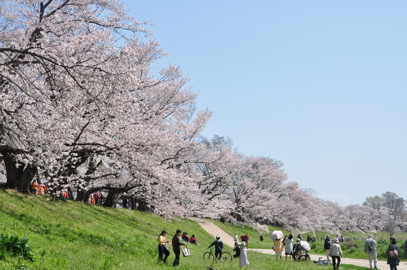 f:id:kyotoside:20220203124559j:plain