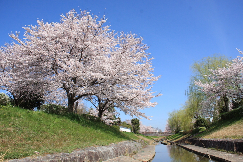 f:id:kyotoside:20220203125614j:plain