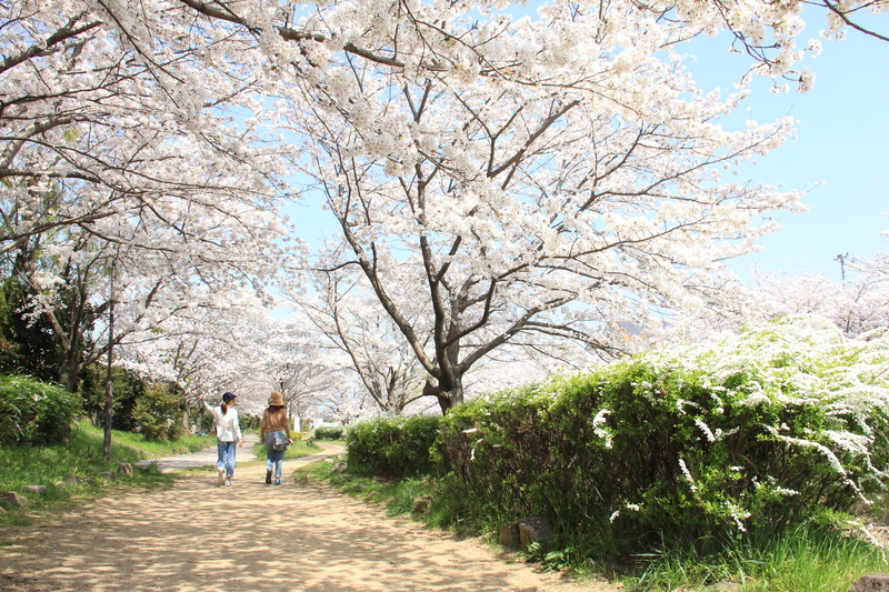 f:id:kyotoside:20220203125621j:plain