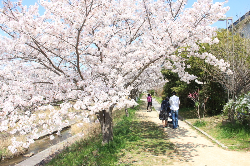 f:id:kyotoside:20220203125629j:plain
