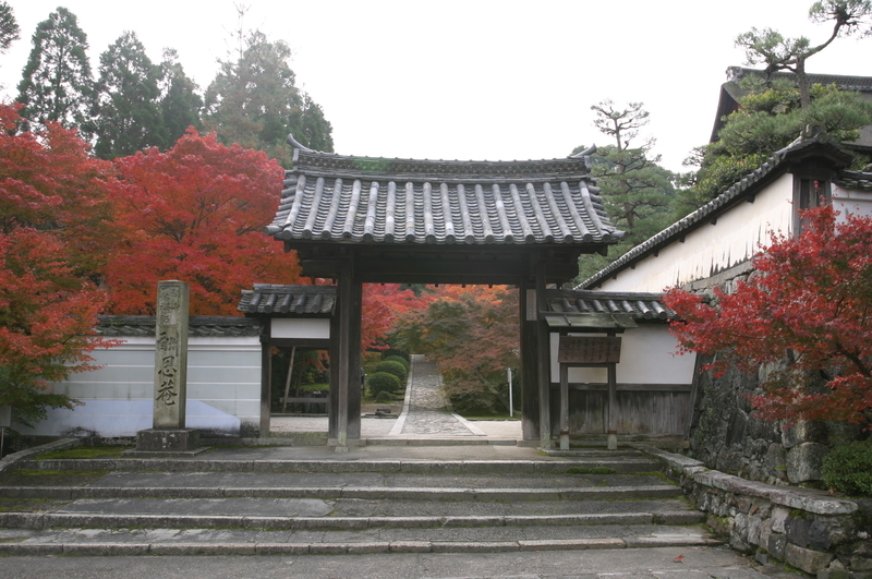 f:id:kyotoside:20220203125728j:plain