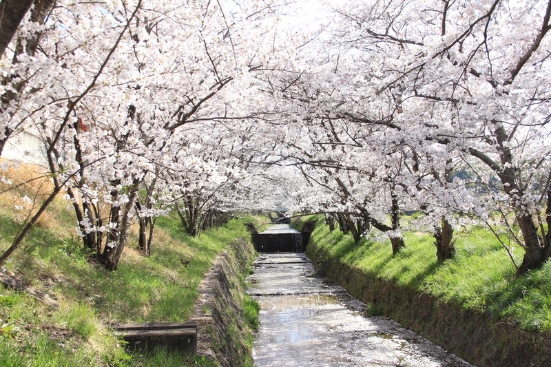 f:id:kyotoside:20220203130052j:plain