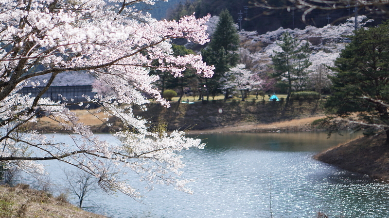 f:id:kyotoside:20220203151853j:plain