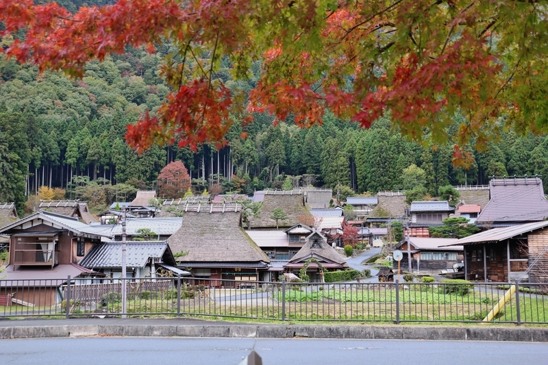 f:id:kyotoside:20220203152015j:plain