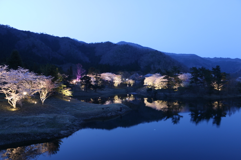 f:id:kyotoside:20220203152211j:plain