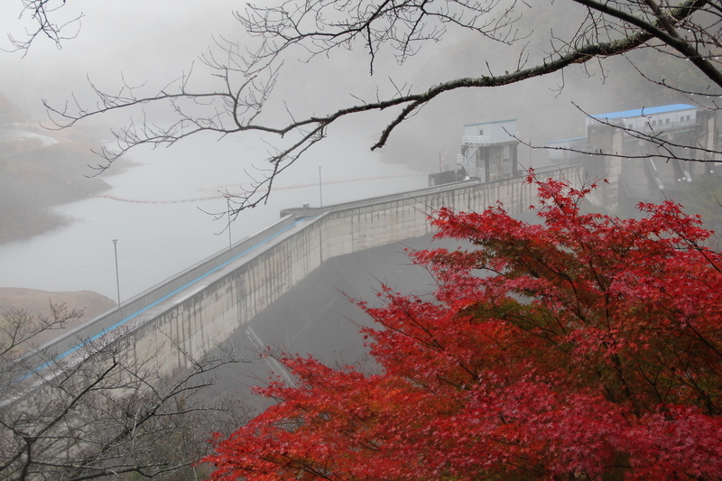 f:id:kyotoside:20220203152229j:plain