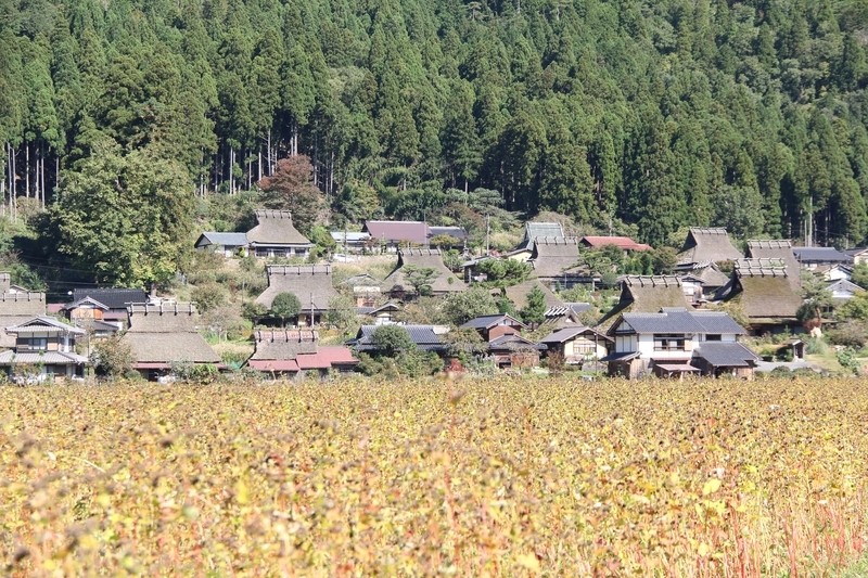 f:id:kyotoside:20220203152334j:plain