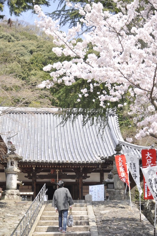 f:id:kyotoside:20220203160349j:plain