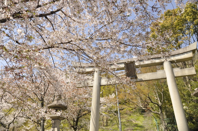 f:id:kyotoside:20220203160449j:plain