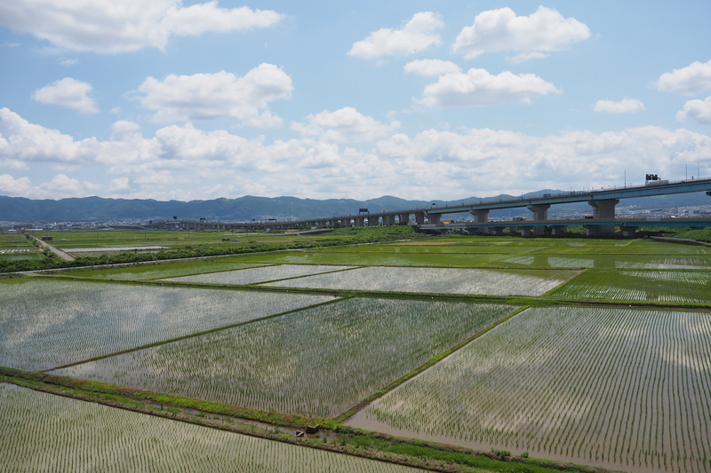 f:id:kyotoside:20220204105208j:plain