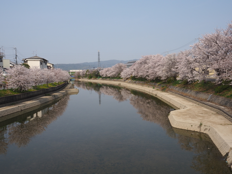 f:id:kyotoside:20220204105216j:plain