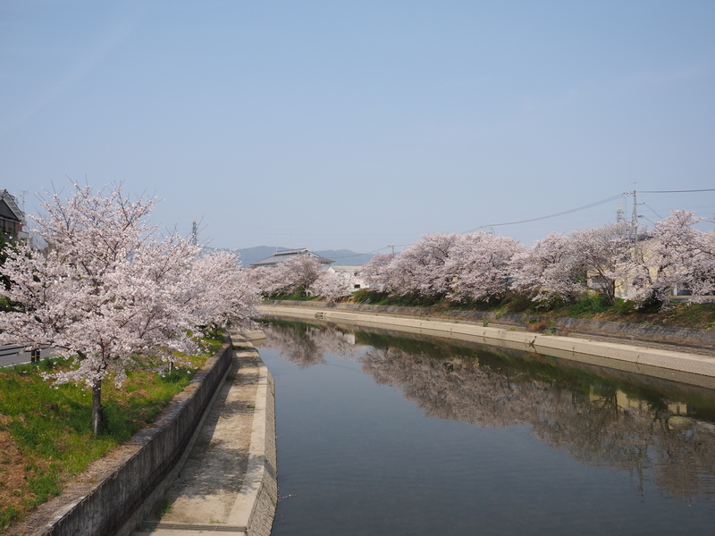 f:id:kyotoside:20220204105231j:plain