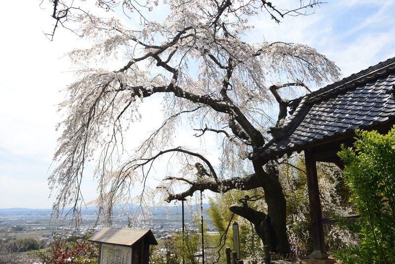 f:id:kyotoside:20220204112126j:plain