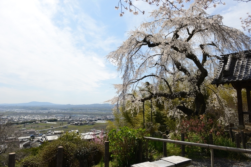 f:id:kyotoside:20220204112150j:plain