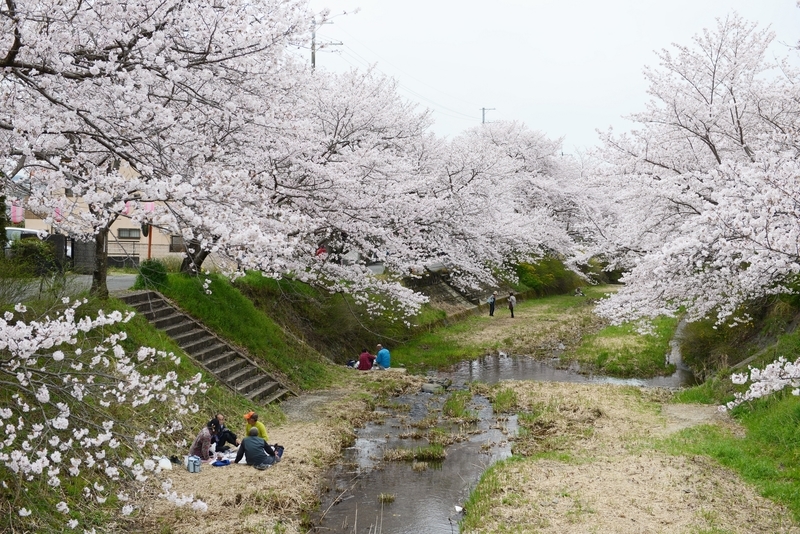 f:id:kyotoside:20220204112326j:plain