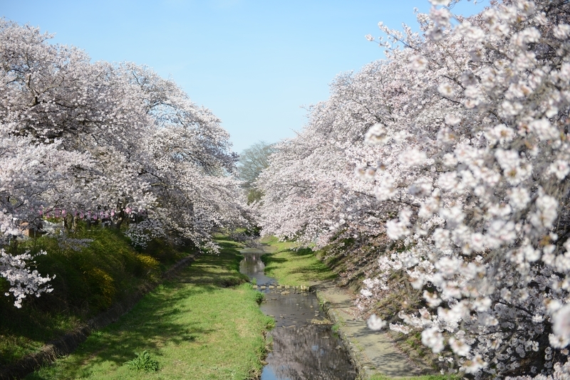 f:id:kyotoside:20220204112340j:plain