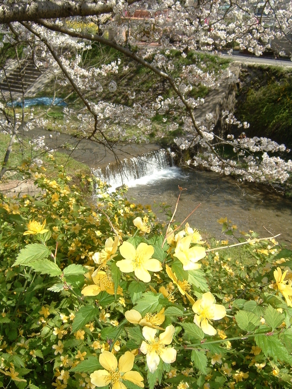 f:id:kyotoside:20220204112351j:plain