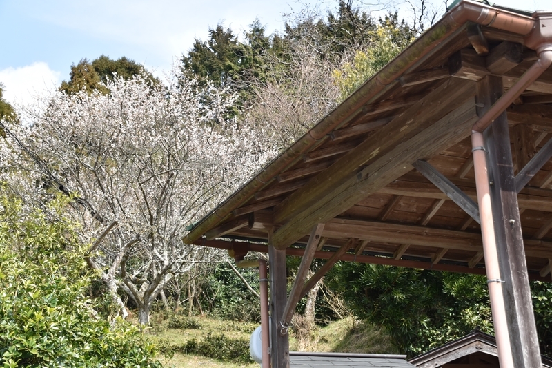 f:id:kyotoside:20220204125133j:plain