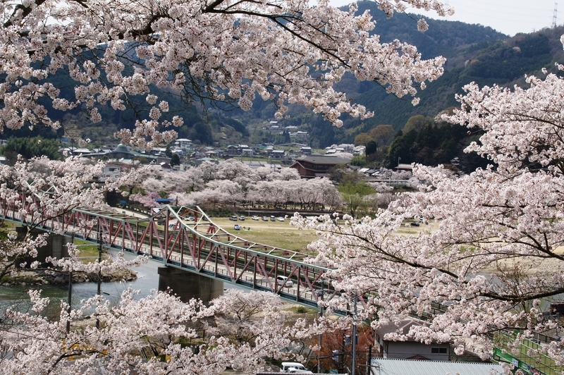 f:id:kyotoside:20220204130228j:plain