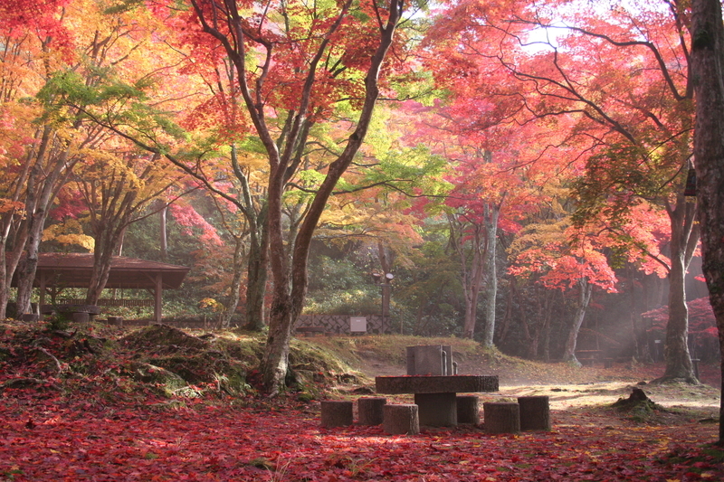 f:id:kyotoside:20220204130333j:plain