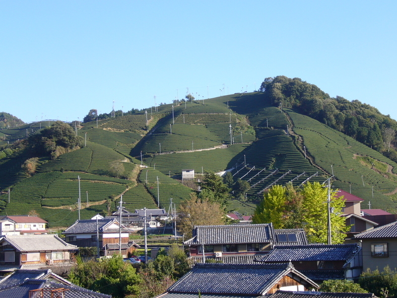 f:id:kyotoside:20220204132224j:plain