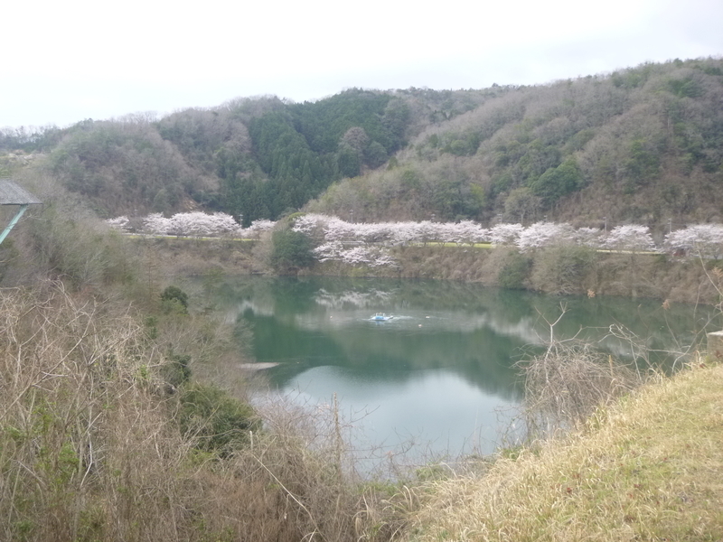 f:id:kyotoside:20220204140003j:plain
