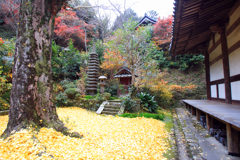 f:id:kyotoside:20220328103245j:plain