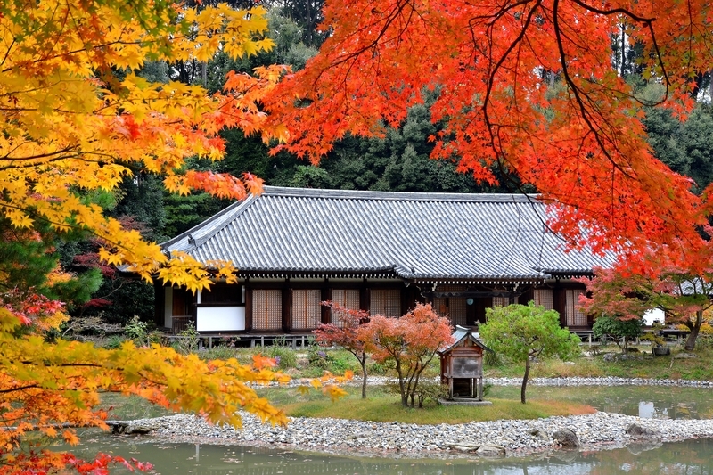 f:id:kyotoside:20220328103328j:plain