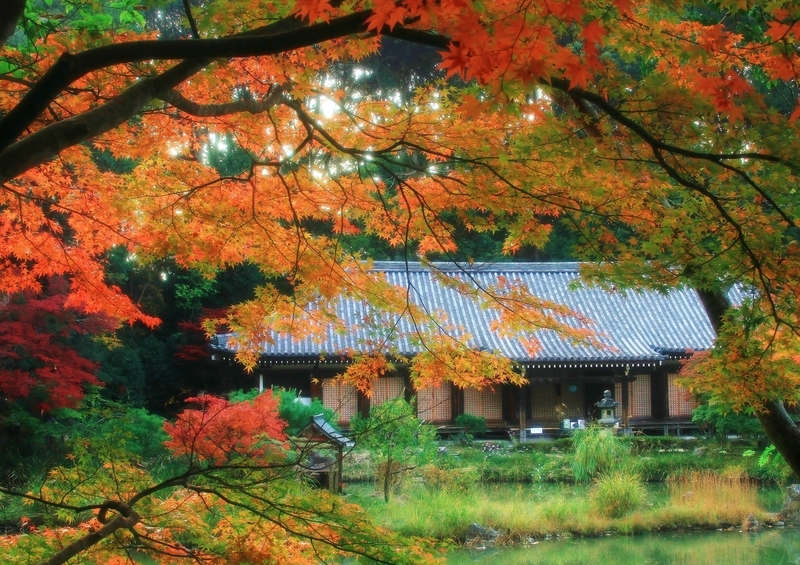 f:id:kyotoside:20220328103433j:plain