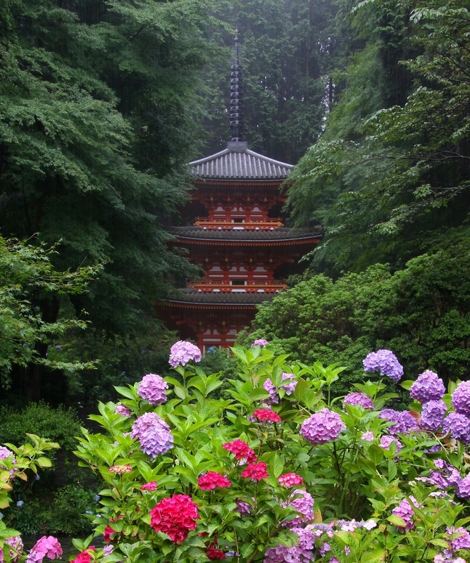 f:id:kyotoside:20220328103512j:plain