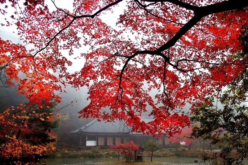 f:id:kyotoside:20220328103535j:plain