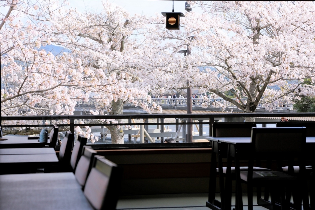 今年は席に座ってゆっくりと お花見気分で桜を眺められるレストラン カフェ５選 Kyoto Side 知られざる 京都 の魅力を発信