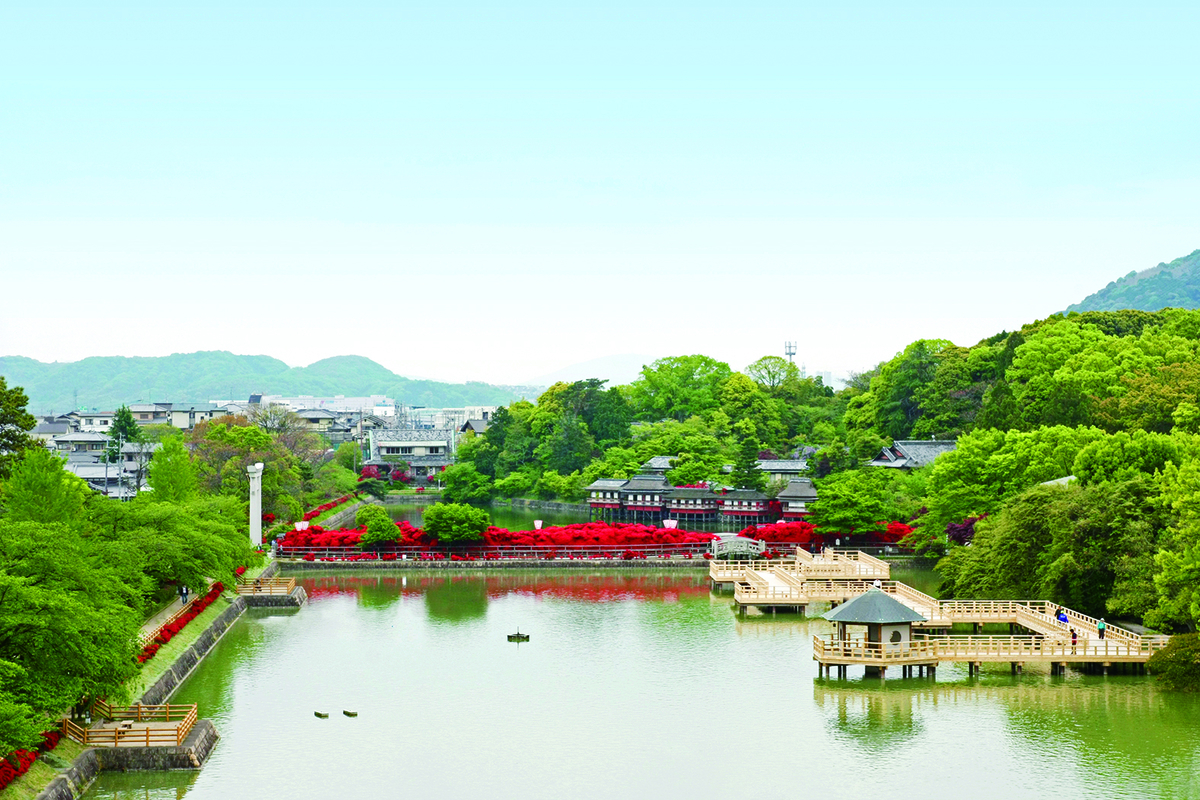 絶景 京都随一のキリシマツツジ 燃え上がるような深紅に染まった長岡天満宮へ Kyoto Side 知られざる 京都 の魅力を発信