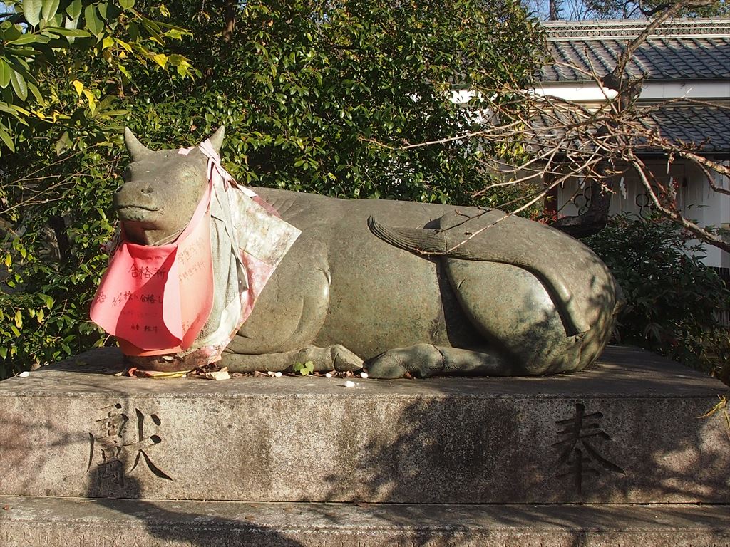 来年はモ っと良い年に 京都 北野天満宮で12年ぶりに牛の参拝 混雑避け年内に 観光 地域のニュース 京都新聞