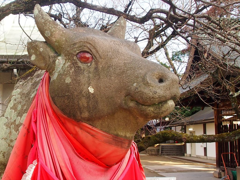 北野天満宮 2021年は丑年 多数の牛が鎮座する神社への初詣はいかが Kyoto Side 知られざる 京都 の魅力を発信