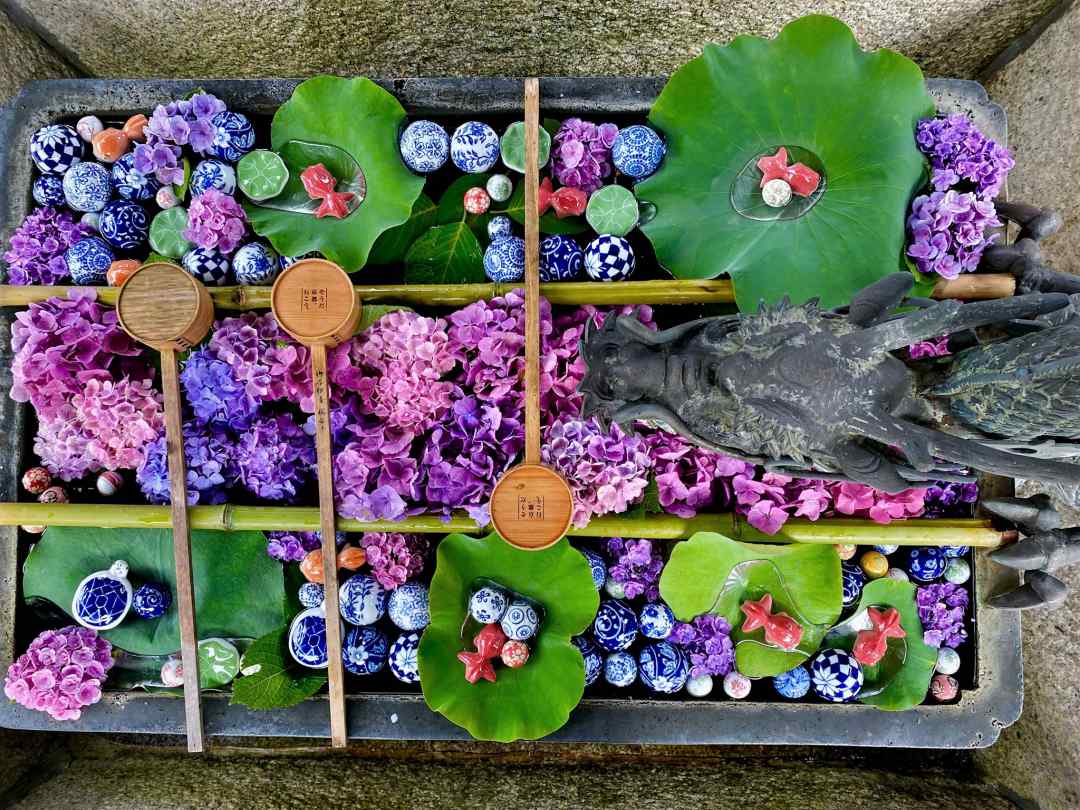 21年 梅雨を彩る 美しい紫陽花 アジサイ 京都府の名所7選 Kyoto Side 知られざる 京都 の魅力を発信