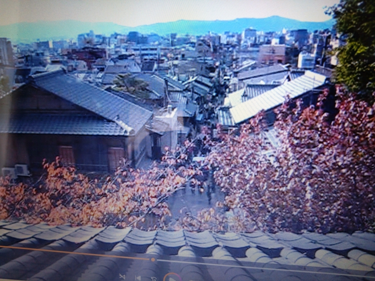 八坂の塔の中から見た風景