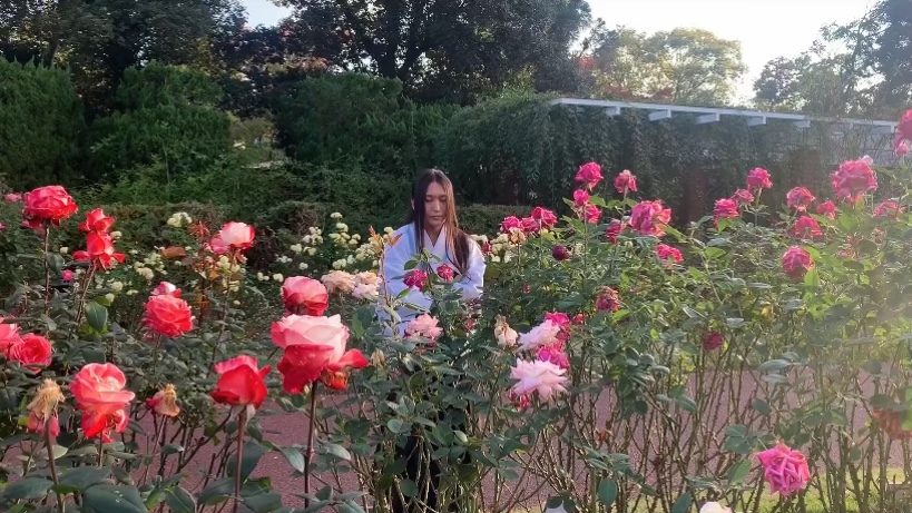 f:id:kyototrip:20201030154909j:plain