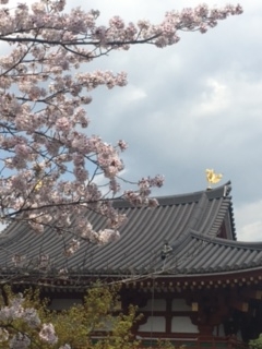 f:id:kyotowa:20170415183152j:plain f:id:kyotowa:20170415183152j:plain