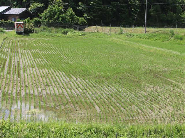 f:id:kyotoyaoyoshi:20190615094956j:plain f:id:kyotoyaoyoshi:20190615094956j:plain