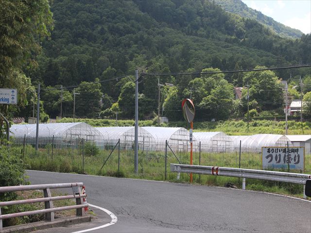 f:id:kyotoyaoyoshi:20190615095555j:plain f:id:kyotoyaoyoshi:20190615095555j:plain
