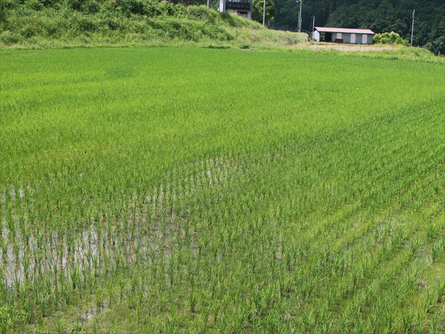 f:id:kyotoyaoyoshi:20190615095644j:plain f:id:kyotoyaoyoshi:20190615095644j:plain